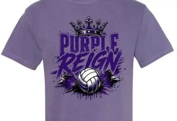 Midway - Volleyball - Purple Reign