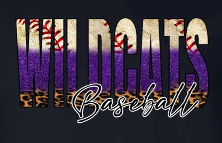 Wildcats - Base Glitter Fade