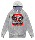 Hoodie - Silver Acid - Forecast
