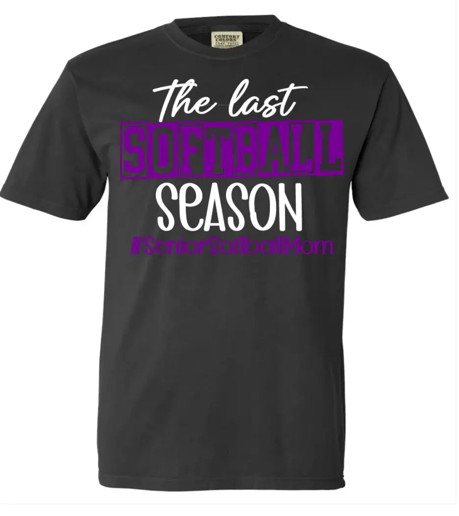 T-Shirt Comfort Color Graphite The Last Season 4